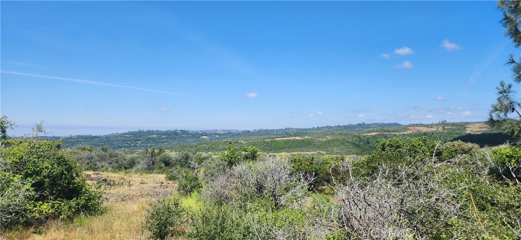0 Hummer Road Property Photo 14