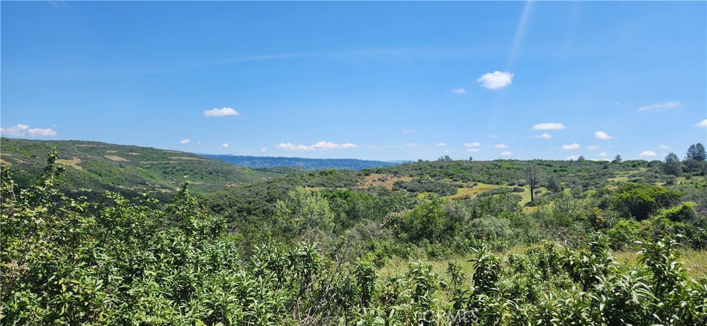 0 Hummer Road Property Photo 17