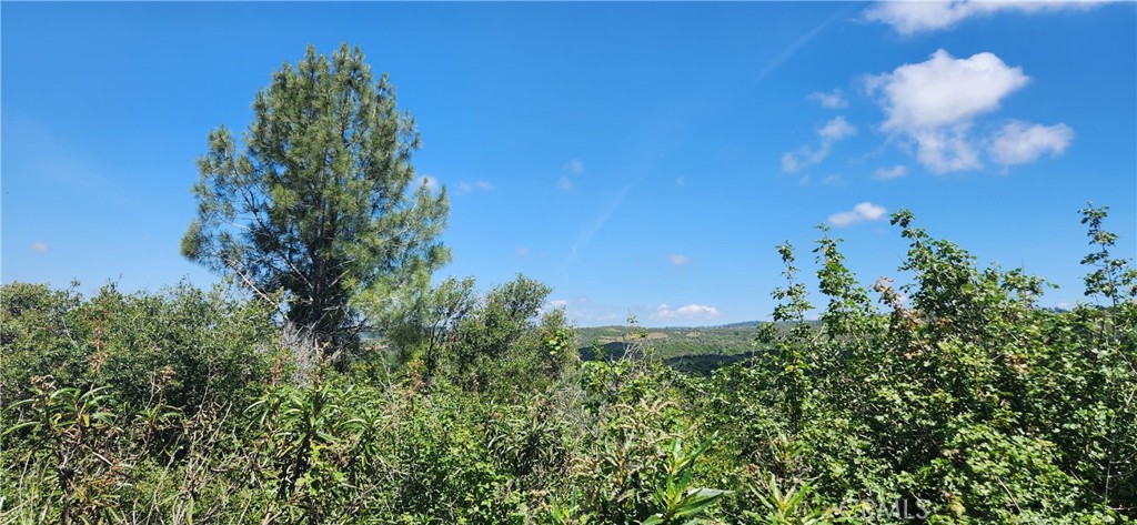 0 Hummer Road Property Photo 18