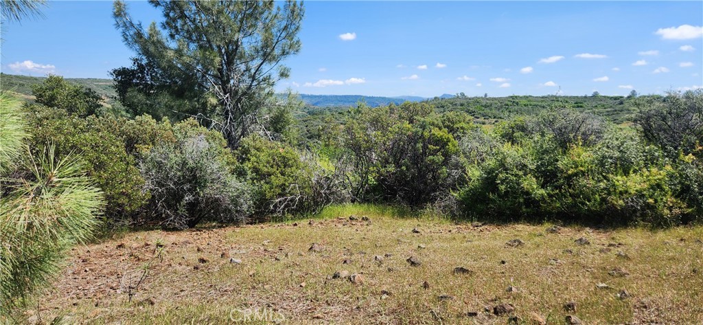 0 Hummer Road Property Photo 19