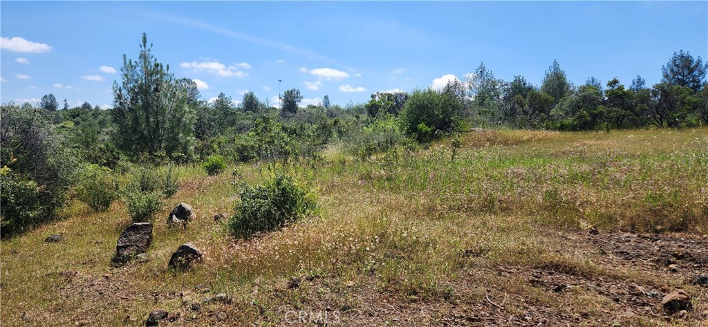 0 Hummer Road Property Photo 21