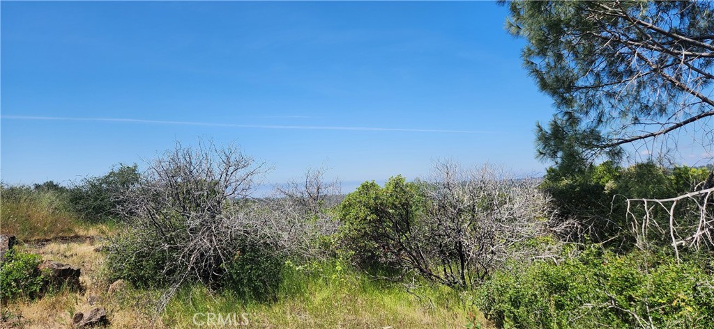 0 Hummer Road Property Photo 22