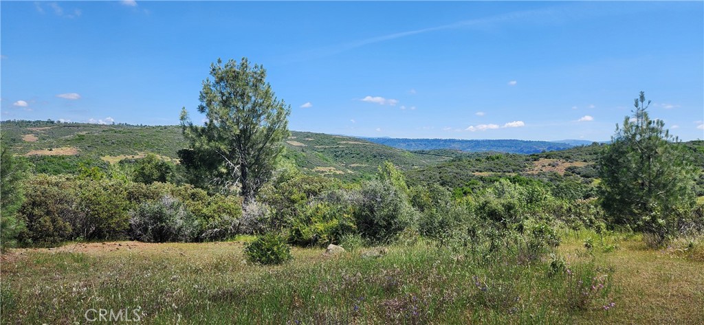 0 Hummer Road Property Photo 25