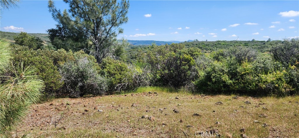 0 Hummer Road Property Photo 2