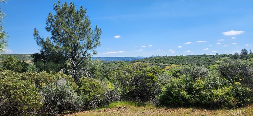 0 Hummer Road Property Photo 3