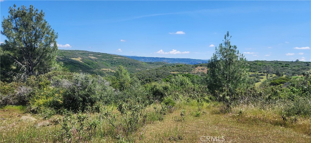 0 Hummer Road Property Photo 6