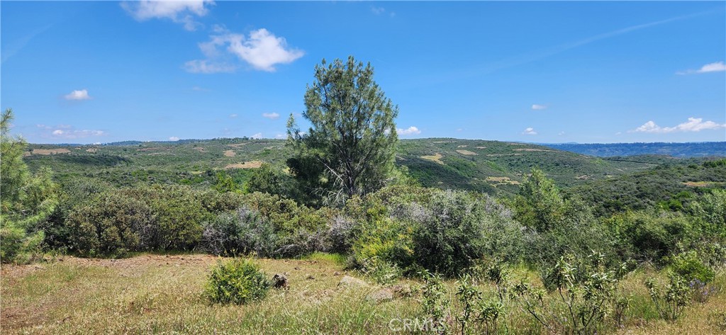 0 Hummer Road Property Photo 8