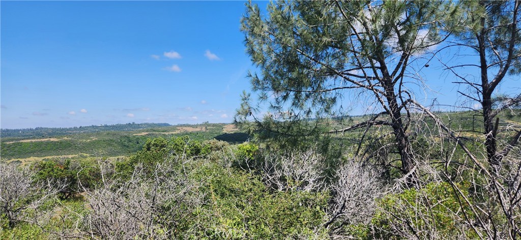 0 Hummer Road Property Photo 10