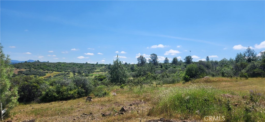 0 Hummer Road Property Photo 11