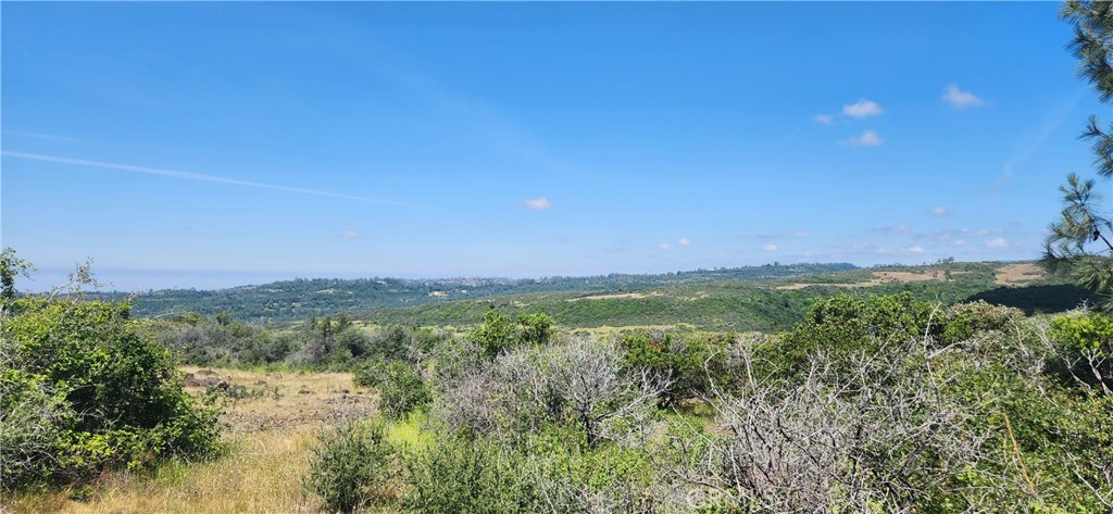 0 Hummer Road Property Photo 13