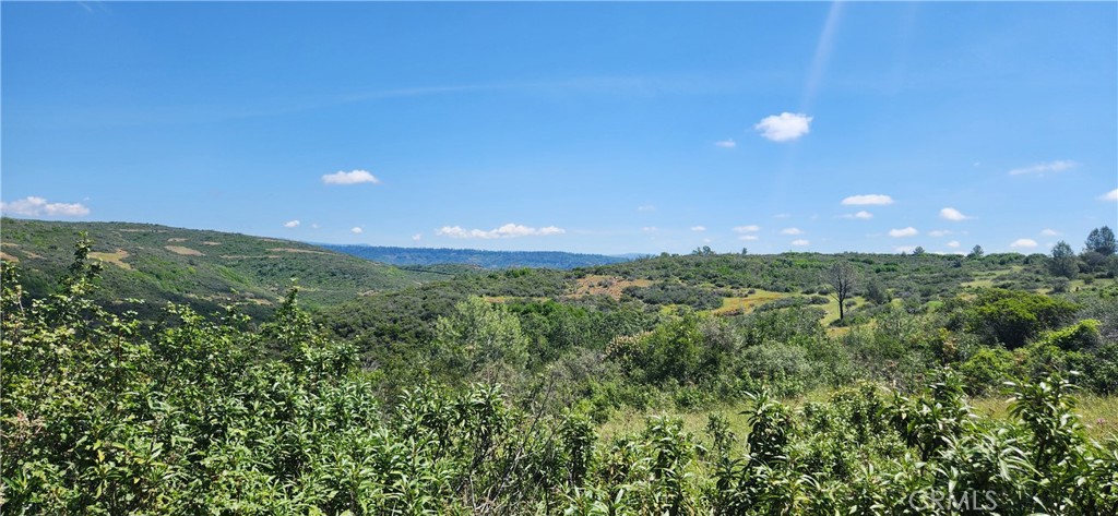 0 Hummer Road Property Photo 16