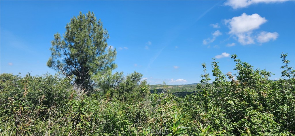0 Hummer Road Property Photo 17