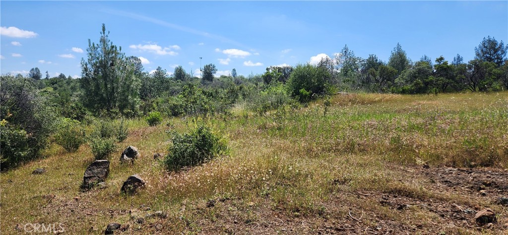 0 Hummer Road Property Photo 18