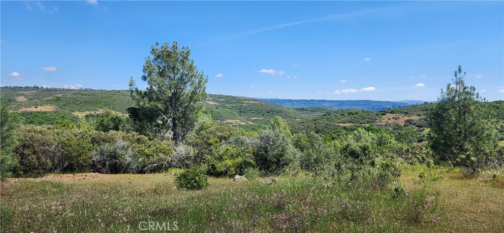 0 Hummer Road Property Photo 24