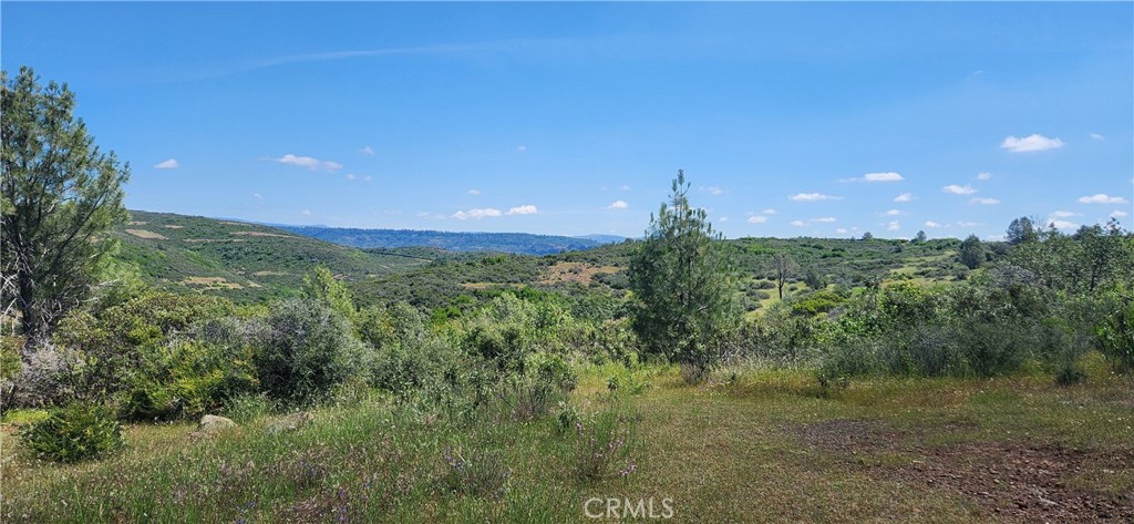 0 Hummer Road Property Photo 25