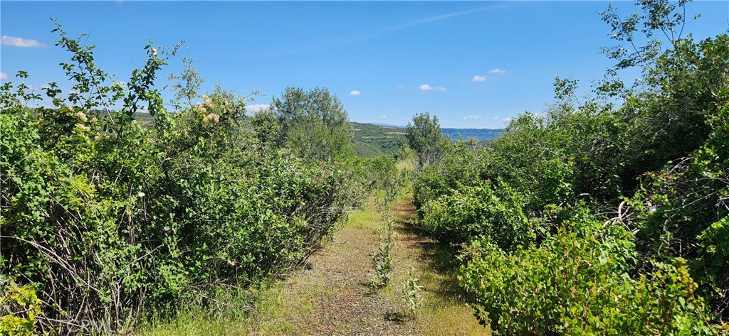 0 Hummer Road Property Photo 26