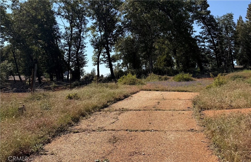 13483 Achilles Court Property Photo 4