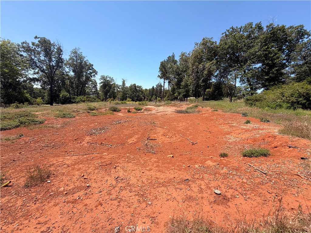 13483 Achilles Court Property Photo 6