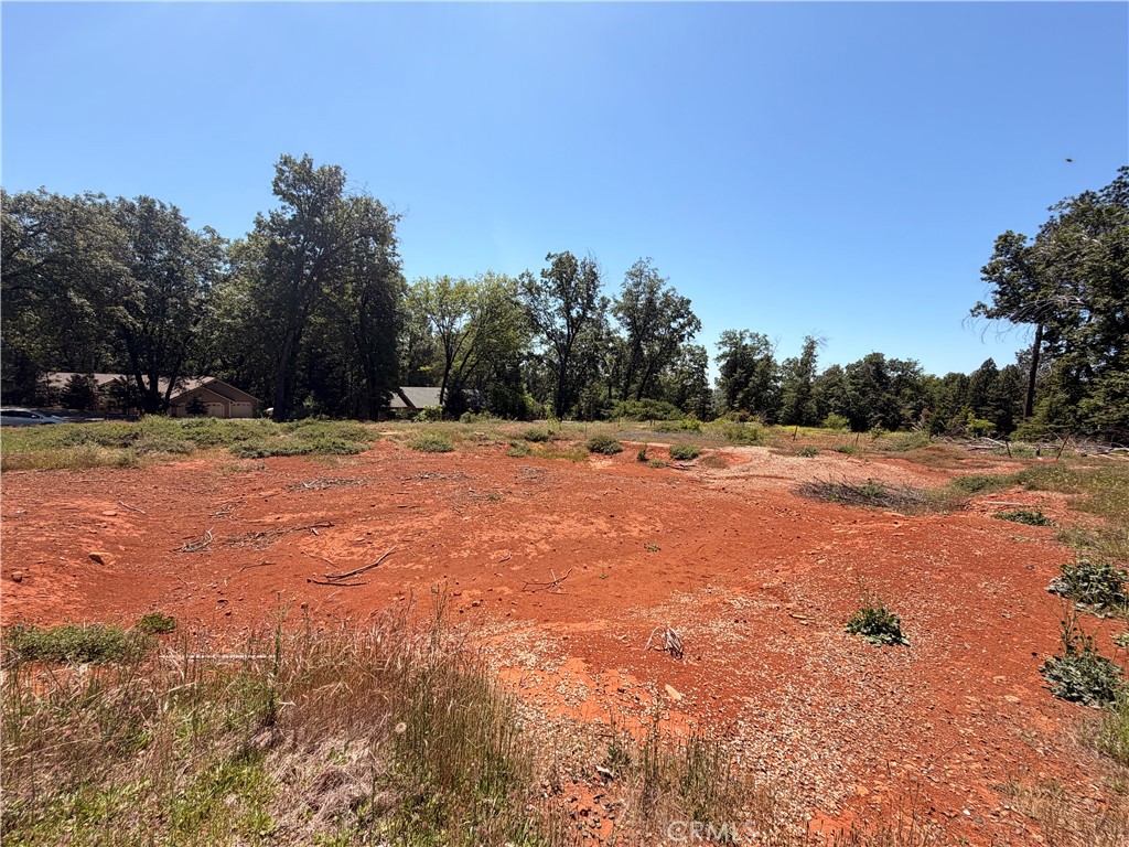 13483 Achilles Court Property Photo 7