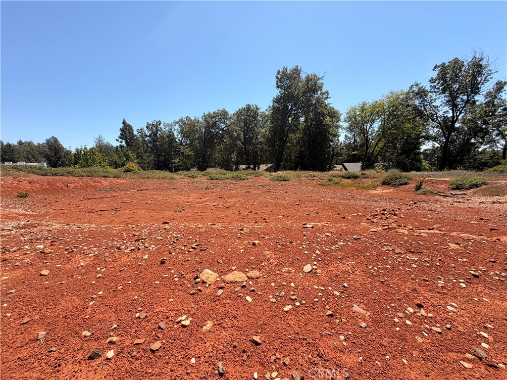 13483 Achilles Court Property Photo 8
