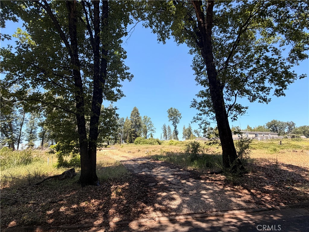 13483 Achilles Court Property Photo 11