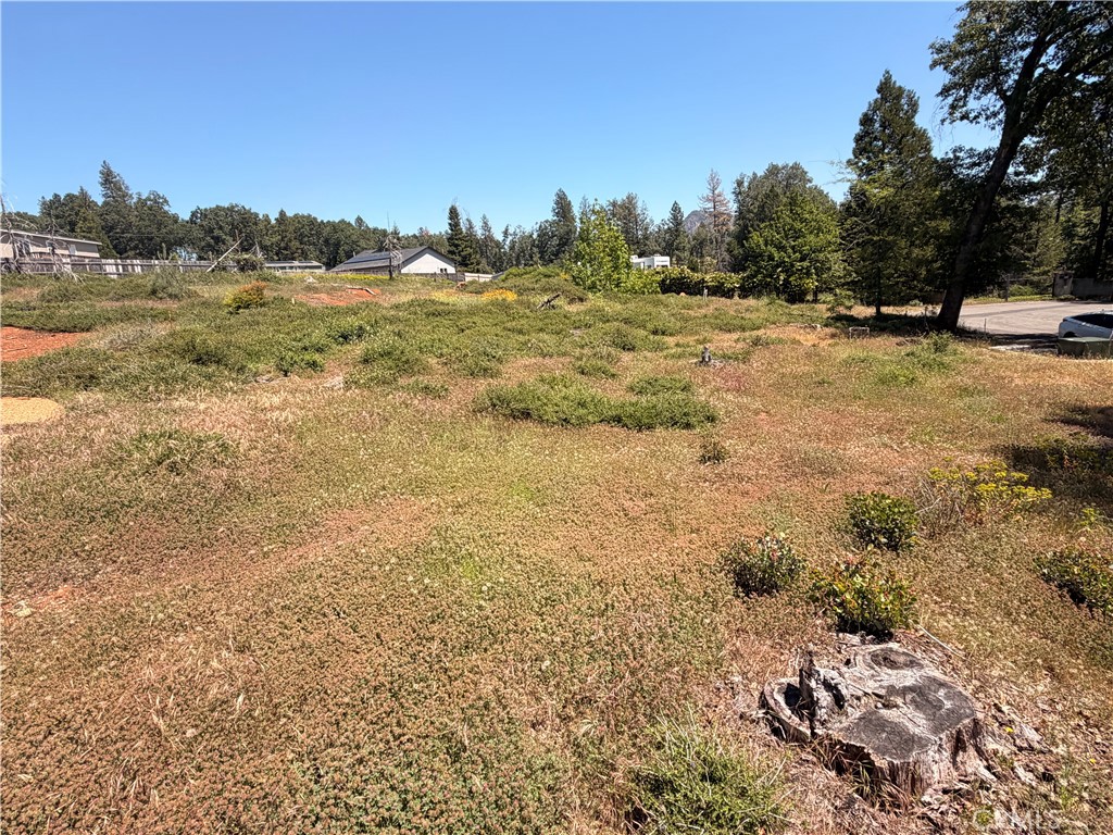 13483 Achilles Court Property Photo 13