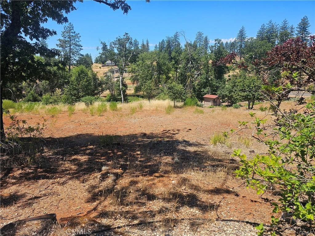 5247 Falcons View Court Property Photo 3