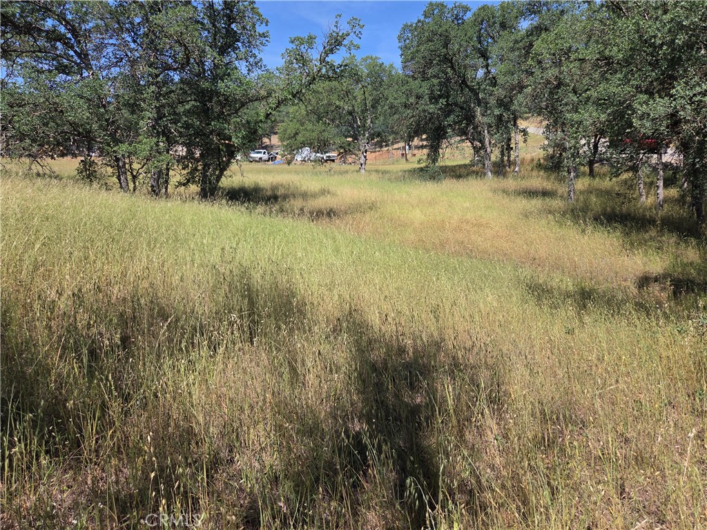 17087 LARAMIE Property Photo 1