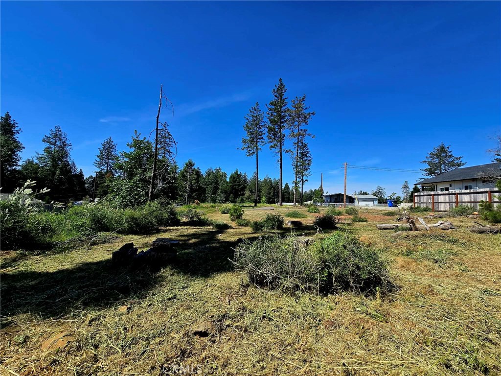 14218 Decatur Property Photo 3