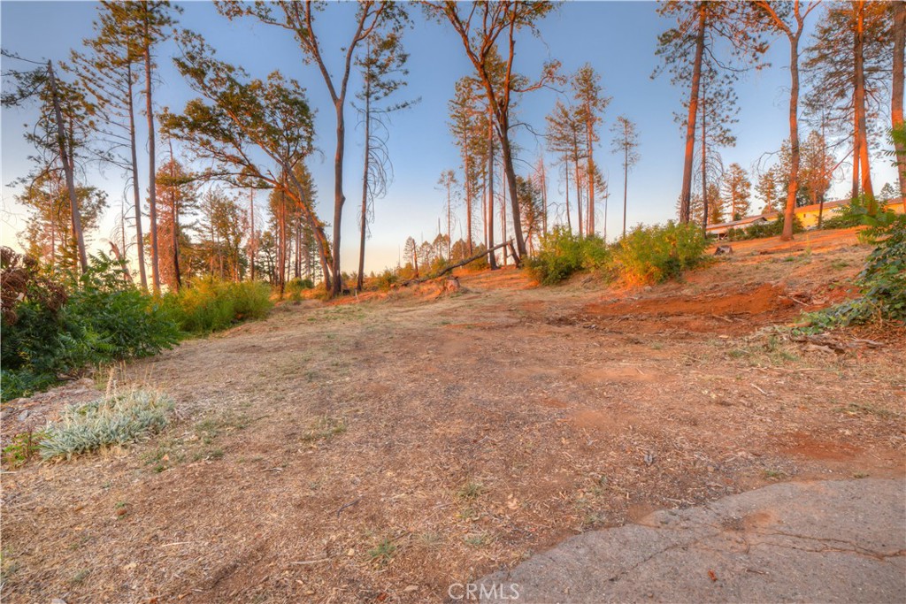 6936 Quail Property Photo 5