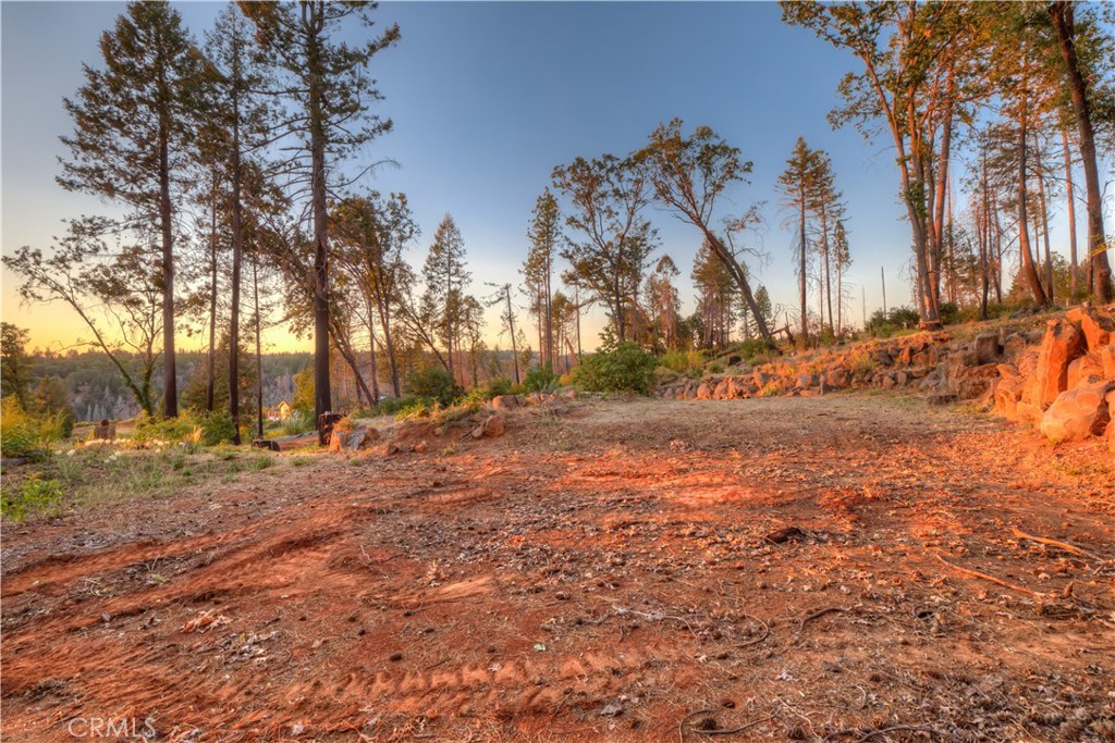 6936 Quail Property Photo 11