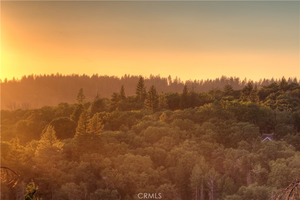 6936 Quail Property Photo 14