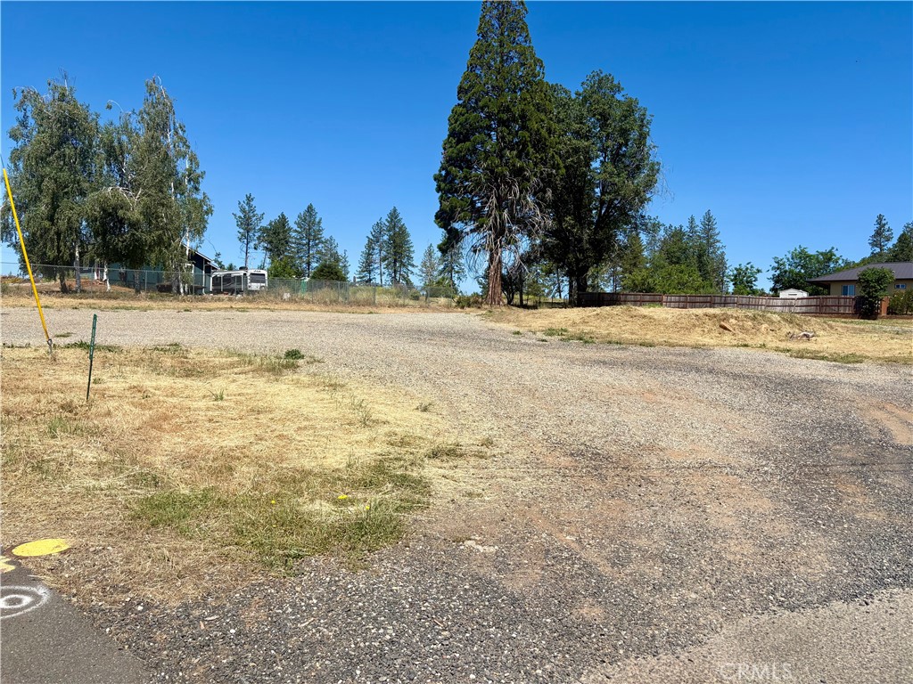 1123 Bille Property Photo 2