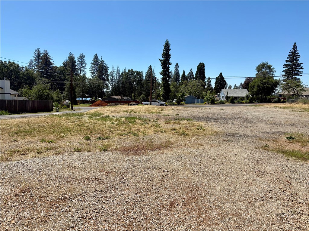 1123 Bille Property Photo 4