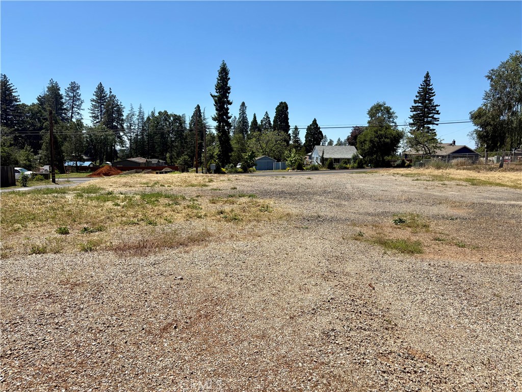 1123 Bille Property Photo 5