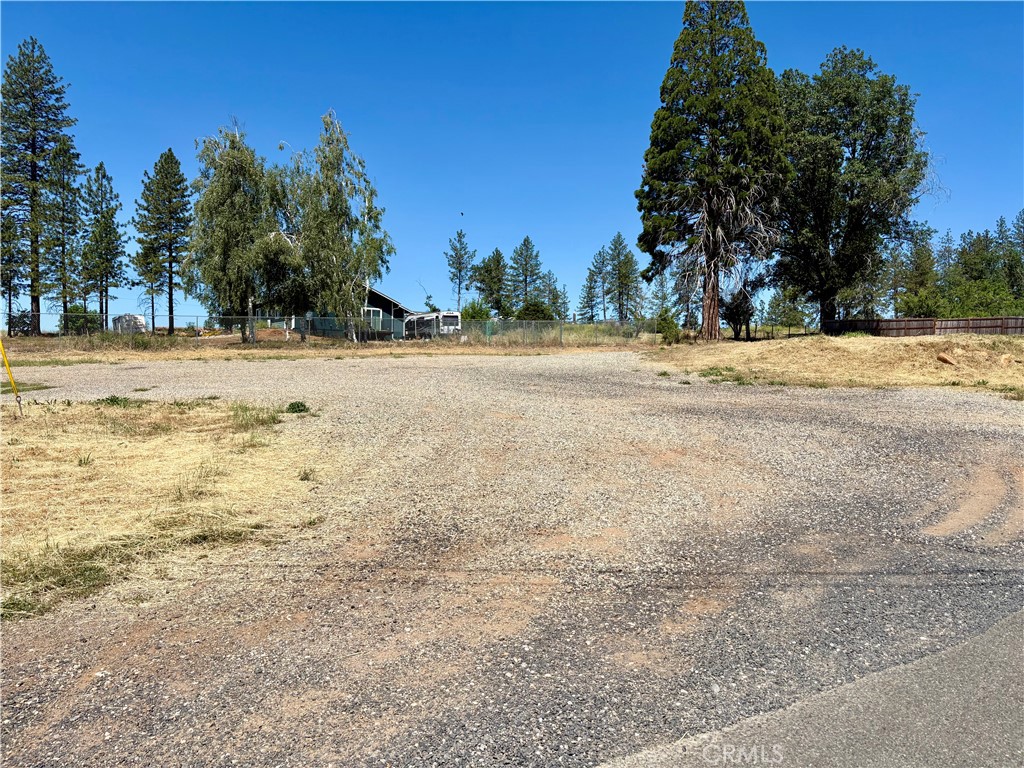 1123 Bille Property Photo 9