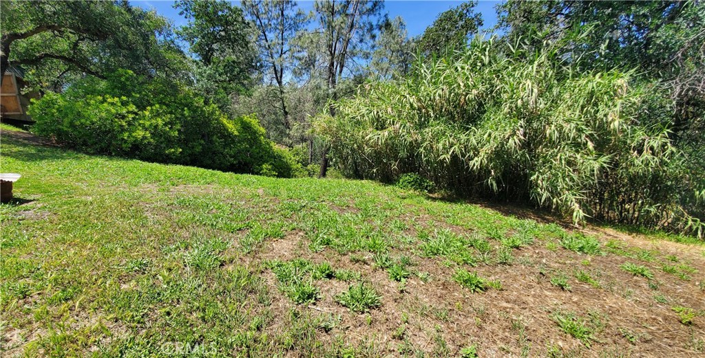 16080 Oakridge Property Photo 11