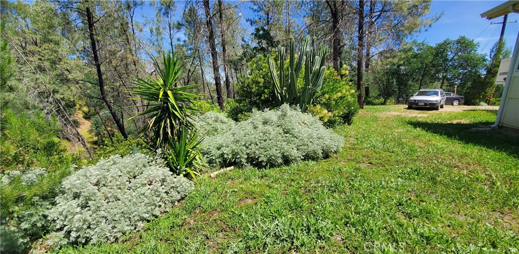 16080 Oakridge Property Photo 12