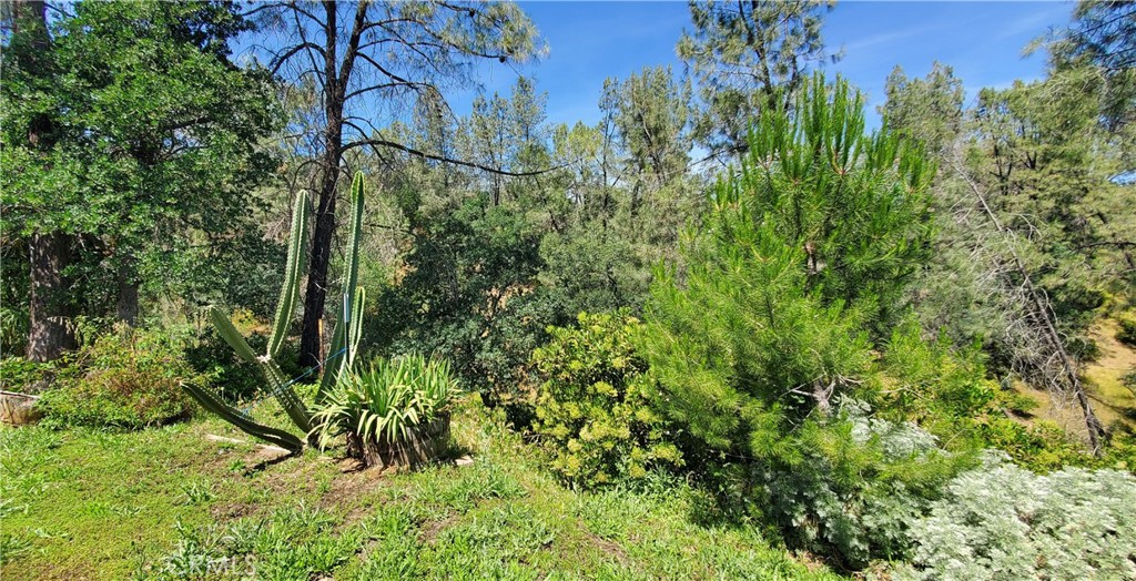 16080 Oakridge Property Photo 13