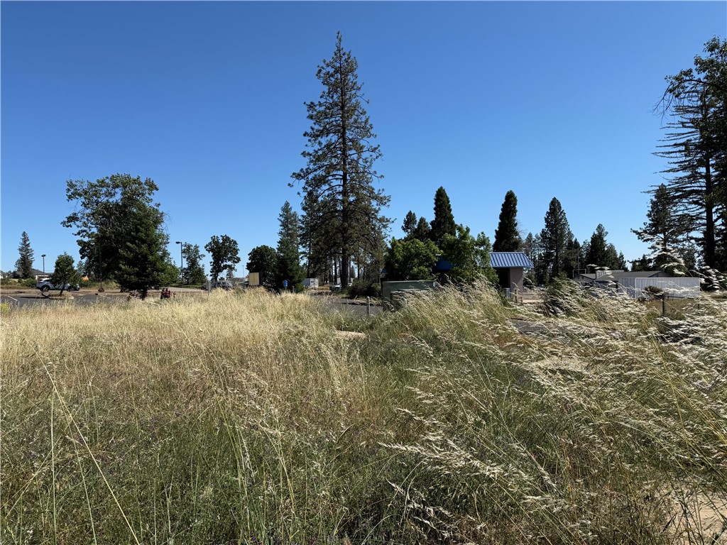 7337 Skyway Property Photo 12