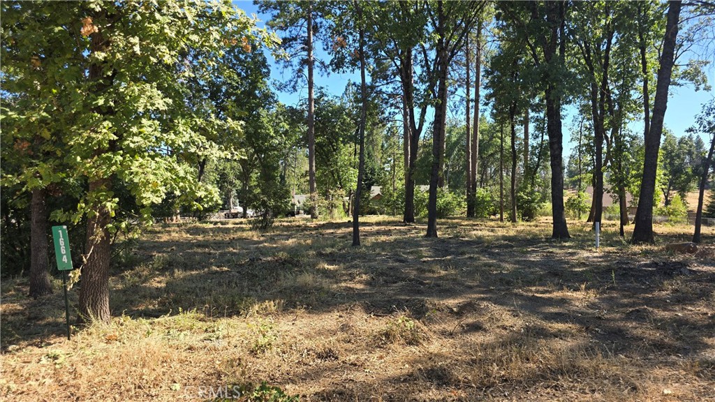 1664 Meadowbrook Lane Property Photo 4