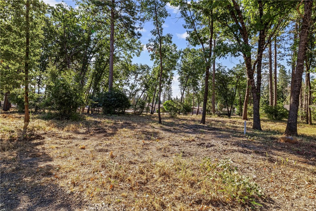 1664 Meadowbrook Lane Property Photo 9