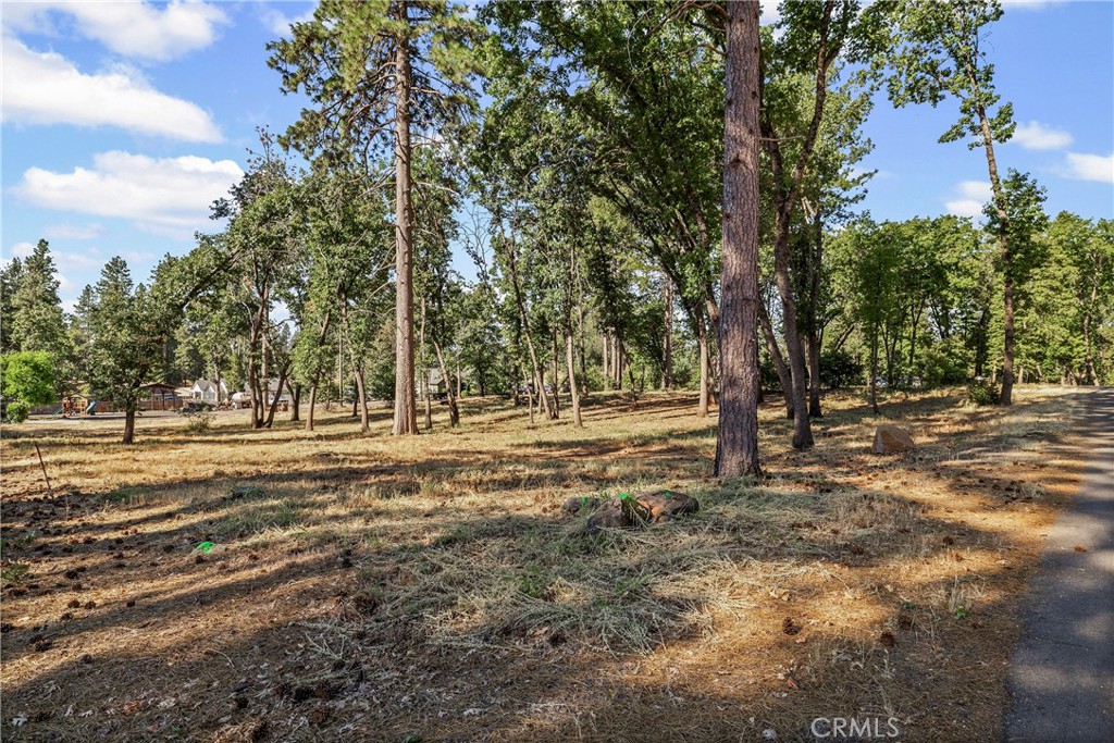 1664 Meadowbrook Lane Property Photo 11
