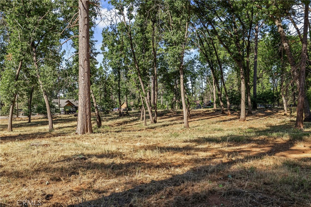 1664 Meadowbrook Lane Property Photo 12