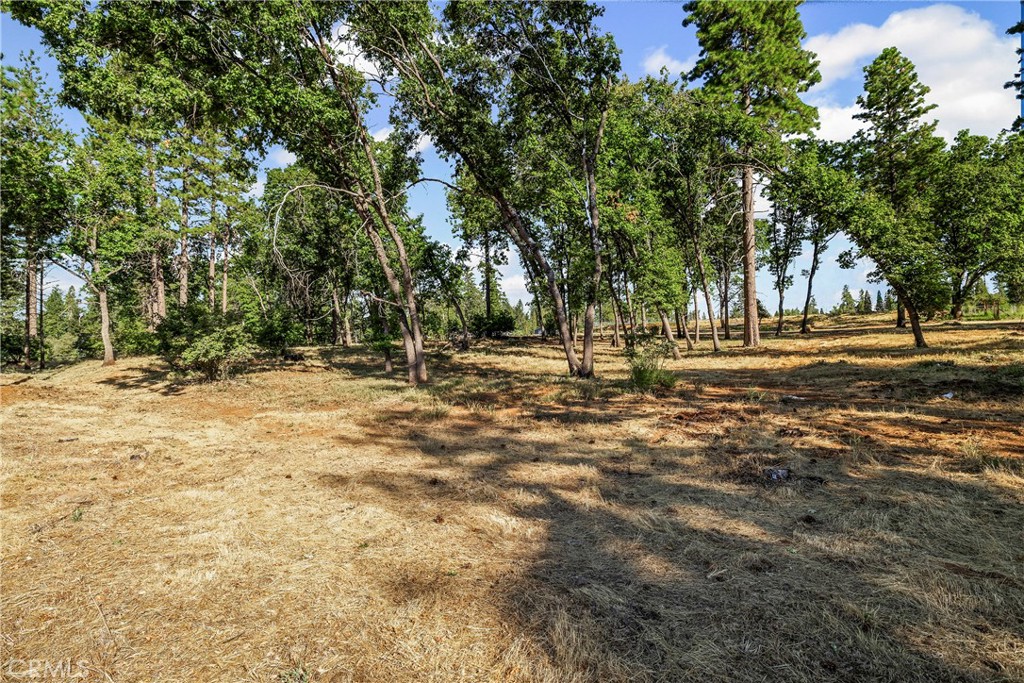 1664 Meadowbrook Lane Property Photo 13
