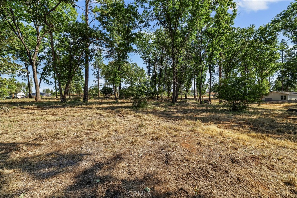 1664 Meadowbrook Lane Property Photo 14