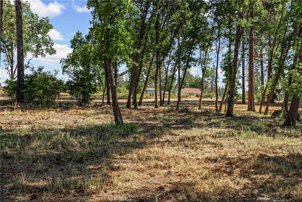 1664 Meadowbrook Lane Property Photo 15