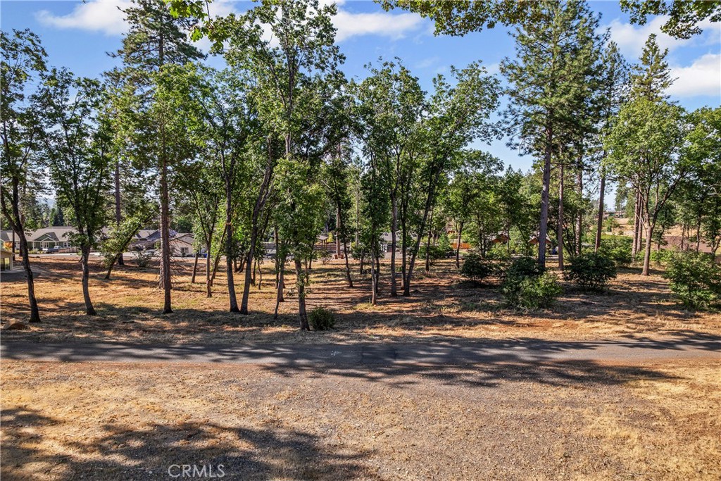 1664 Meadowbrook Lane Property Photo 16