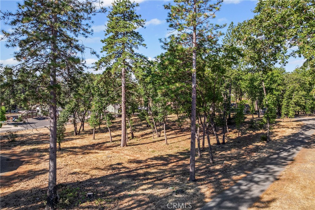 1664 Meadowbrook Lane Property Photo 17