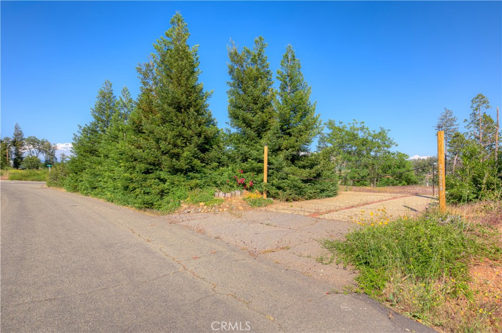 13828 Andover Property Photo 14